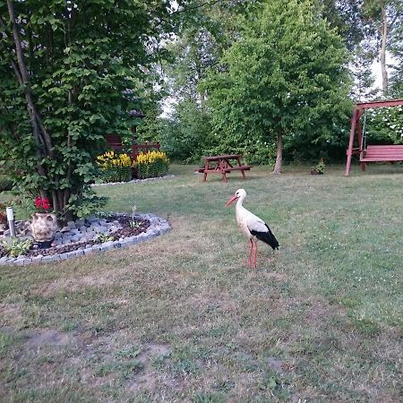 Agroturystyka I Domki Zacisze ヤロスワビエツ エクステリア 写真